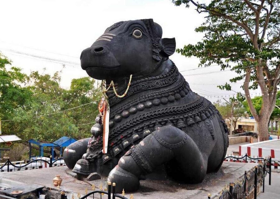 Walk of Divinity Bangalore (2 hours guided walking tour) - Key highlights you’ll feel right away
