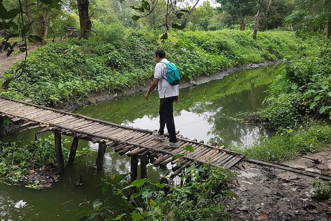 Walk the Kolkata Wetlands: Green Eye Candy - Key Things to Know Before You Go