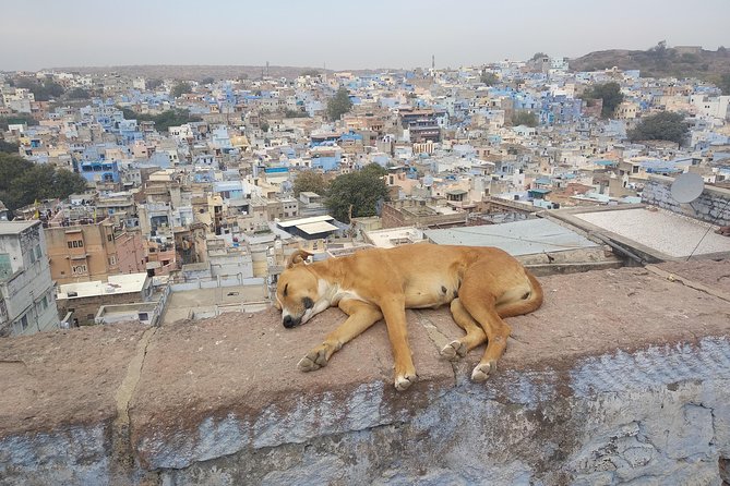 walk to bluecity heritage tour - Stop 3: Navchowkiya near Fateh Pol, a neighborhood tied to Mehrangarh Fort