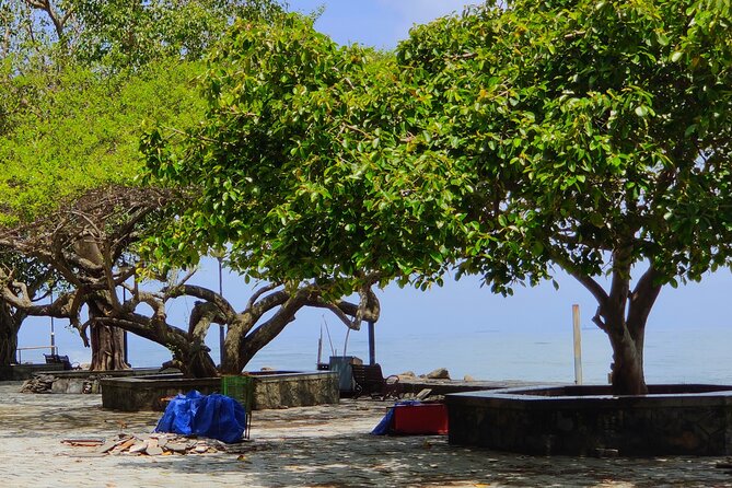 Walking Tour Of Fortkochi & Local Lunch - Local lunch included, so you refuel like an adult