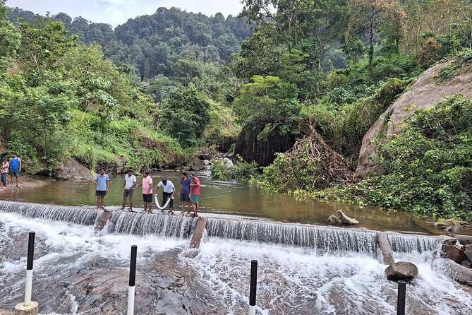 Wild Elephant Anakulam & Waterfalls Tour(munnar valley Trekking) - Anakulam waterfall and river crossing: the active stretch of the day