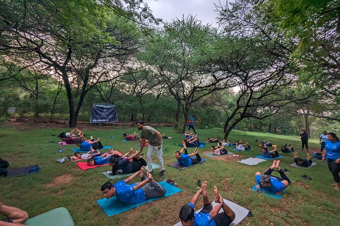 Yoga in Jaipur with Amit (Yogi on Travel) - Park Setting and the Comfort Factor